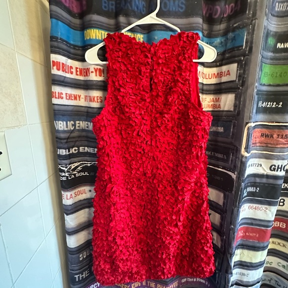 CLOSET CLOSING J Crew FACTORY Mini Rosette Dress NWT - Picture 3 of 9